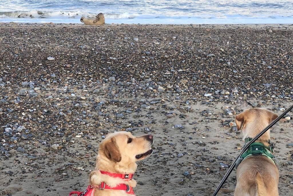 Lessingham Dog Friendly Cottage 2 Mins To Beach With Hot Tub And Zappi Ev מראה חיצוני תמונה