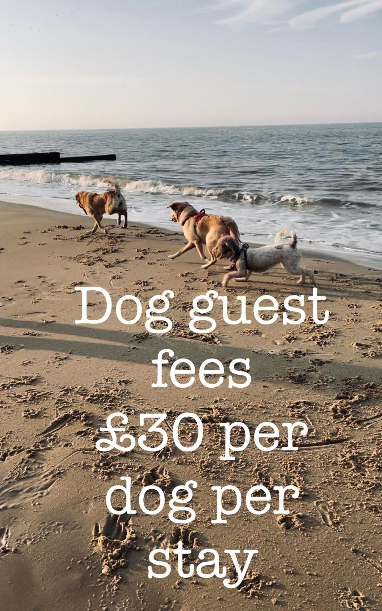 Lessingham Dog Friendly Cottage 2 Mins To Beach With Hot Tub And Zappi Ev מראה חיצוני תמונה